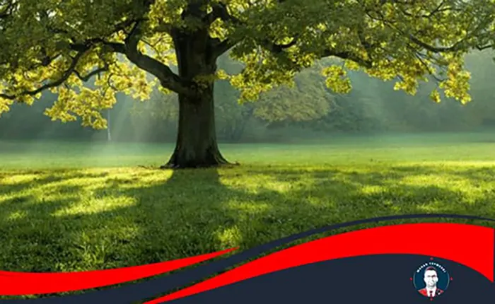 مزایای یادداشت برداری دیجیتال